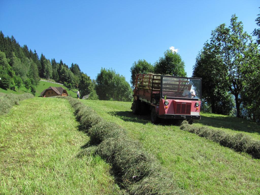 Lercherhof Feld am See Zewnętrze zdjęcie