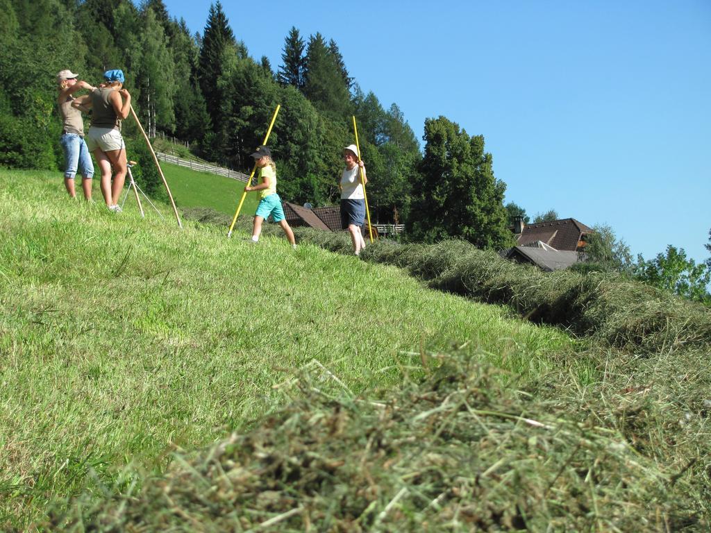 Lercherhof Feld am See Zewnętrze zdjęcie