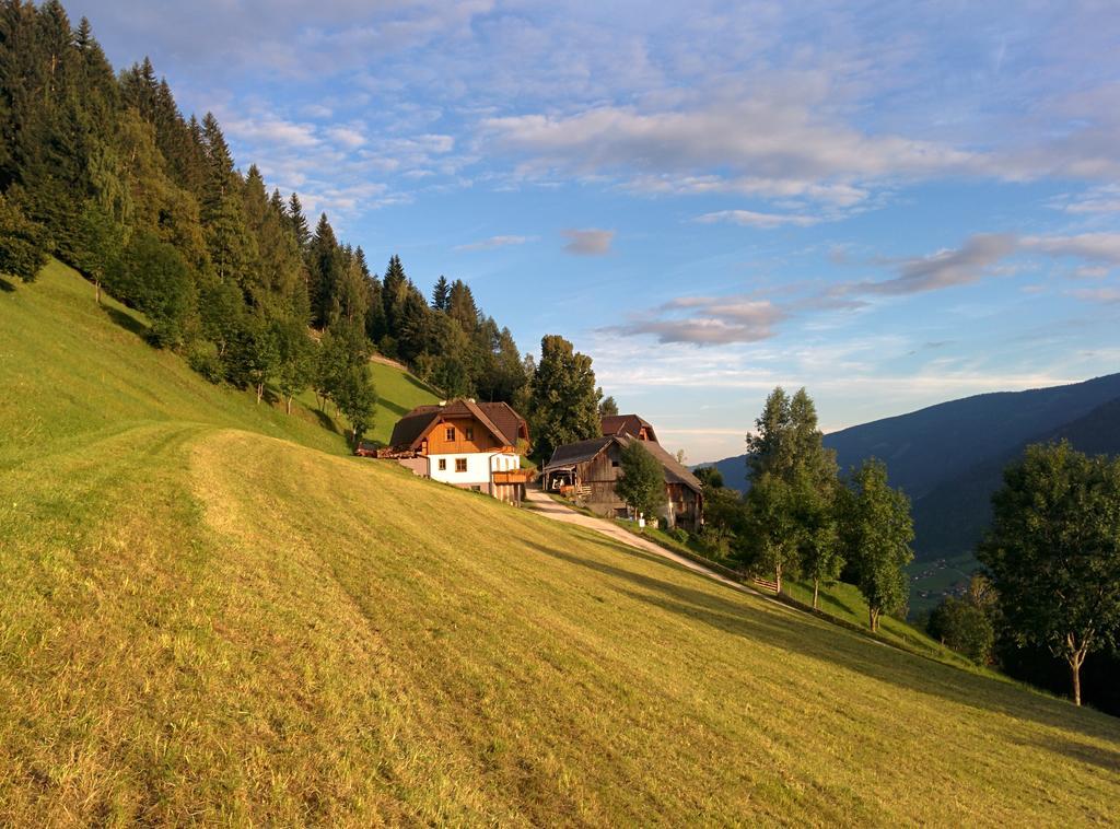 Lercherhof Feld am See Pokój zdjęcie